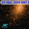 Cl* NGC 1978    WBT    1063
