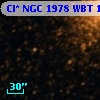 Cl* NGC 1978    WBT    1083