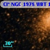 Cl* NGC 1978    WBT    1091