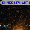 Cl* NGC 1978    WBT    1130