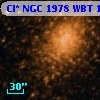 Cl* NGC 1978    WBT    1131