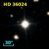 HD  36024