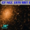 Cl* NGC 1978    WBT    1154