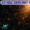 Cl* NGC 1978    WBT    1196