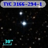 TYC 3166-294-1