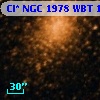 Cl* NGC 1978    WBT    1210