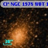 Cl* NGC 1978    WBT    1213