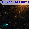 Cl* NGC 1978    WBT    1224