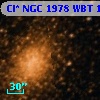 Cl* NGC 1978    WBT    1228