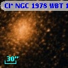 Cl* NGC 1978    WBT    1233