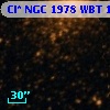 Cl* NGC 1978    WBT    1241