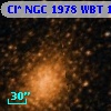 Cl* NGC 1978    WBT    1243