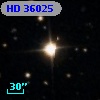 HD  36025