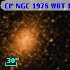 Cl* NGC 1978    WBT    1268