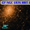 Cl* NGC 1978    WBT    1295