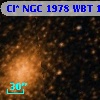 Cl* NGC 1978    WBT    1298