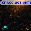 Cl* NGC 1978    WBT    1301