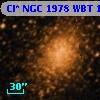 Cl* NGC 1978    WBT    1303