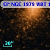 Cl* NGC 1978    WBT    1305