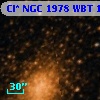 Cl* NGC 1978    WBT    1315