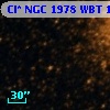 Cl* NGC 1978    WBT    1316