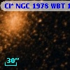 Cl* NGC 1978    WBT    1328