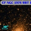 Cl* NGC 1978    WBT    1333