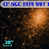Cl* NGC 1978    WBT    1335