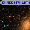 Cl* NGC 1978    WBT    1347
