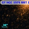Cl* NGC 1978    WBT    1351