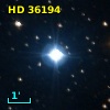 HD  36194