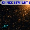 Cl* NGC 1978    WBT    1377