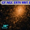 Cl* NGC 1978    WBT    1382