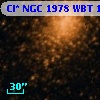 Cl* NGC 1978    WBT    1394