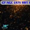 Cl* NGC 1978    WBT    1402