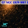 Cl* NGC 1978    WBT    1424