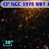 Cl* NGC 1978    WBT    1428
