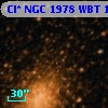 Cl* NGC 1978    WBT    1431