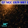 Cl* NGC 1978    WBT    1439