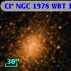 Cl* NGC 1978    WBT    1442