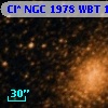 Cl* NGC 1978    WBT    1445