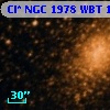 Cl* NGC 1978    WBT    1447