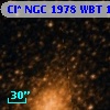 Cl* NGC 1978    WBT    1456