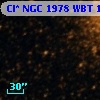 Cl* NGC 1978    WBT    1462