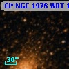 Cl* NGC 1978    WBT    1466