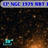 Cl* NGC 1978    WBT    1504
