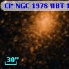 Cl* NGC 1978    WBT    1505
