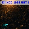 Cl* NGC 1978    WBT    1509
