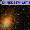 Cl* NGC 1978    WBT    1511