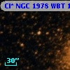 Cl* NGC 1978    WBT    1519